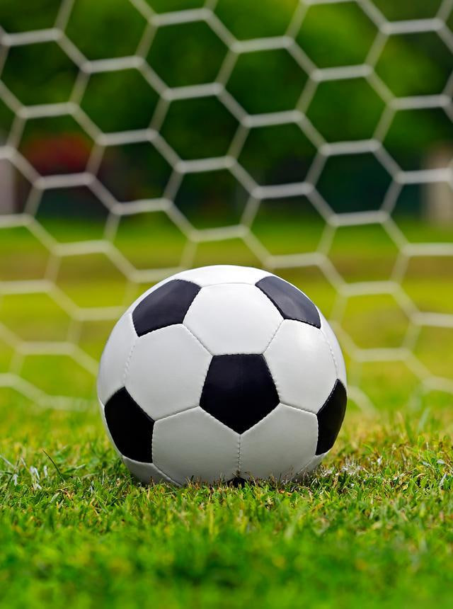 深度数据分析图表展示